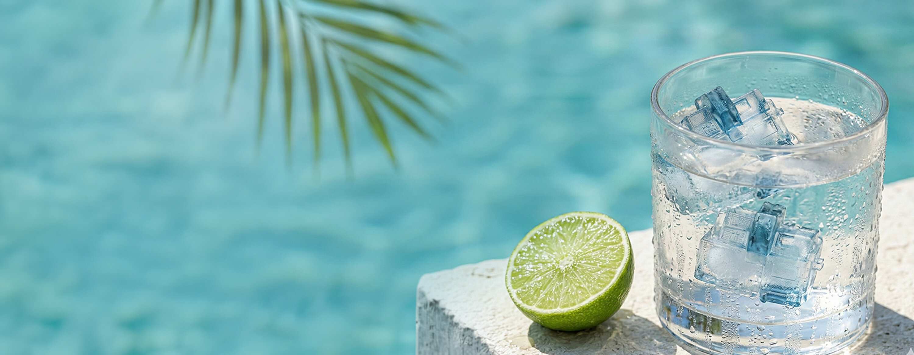 star_sommer26_header