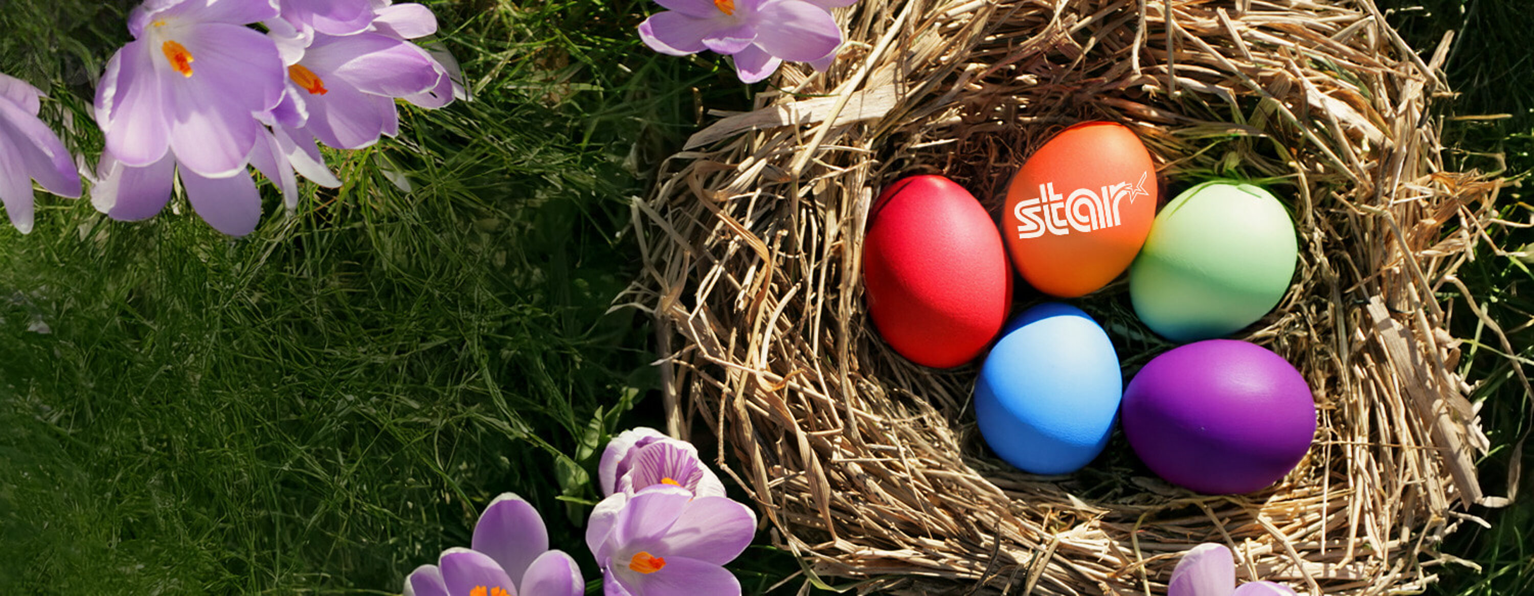 star_header_ostern26
